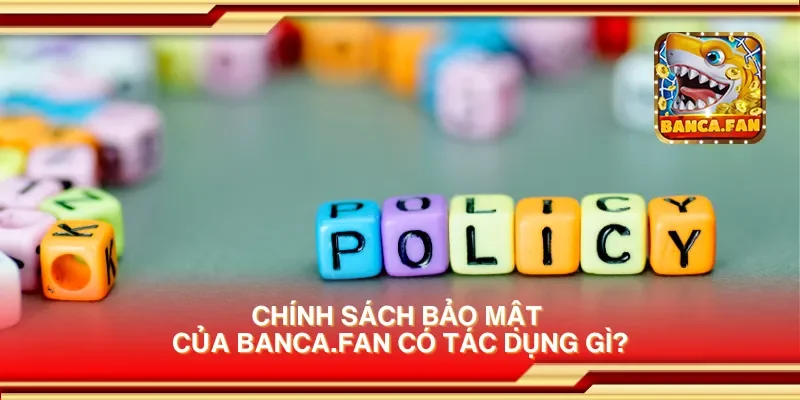 Chính sách bảo mật của candlelight-specials.nl có tác dụng gì?