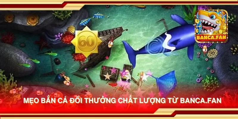Mẹo bắn cá đổi thưởng chất lượng từ candlelight-specials.nl