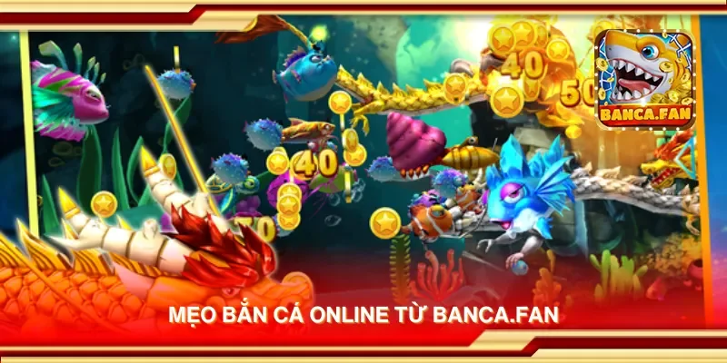 Mẹo bắn cá online từ candlelight-specials.nl