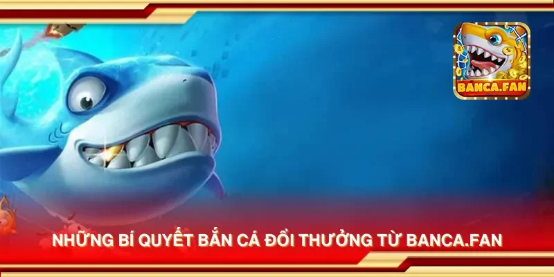 Những bí quyết bắn cá đổi thưởng từ candlelight-specials.nl