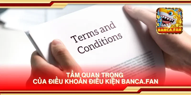 Tầm quan trọng của điều khoản điều kiện candlelight-specials.nl